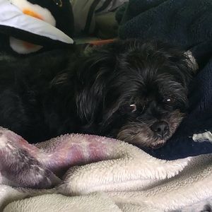 Meet your Posher, Alexia